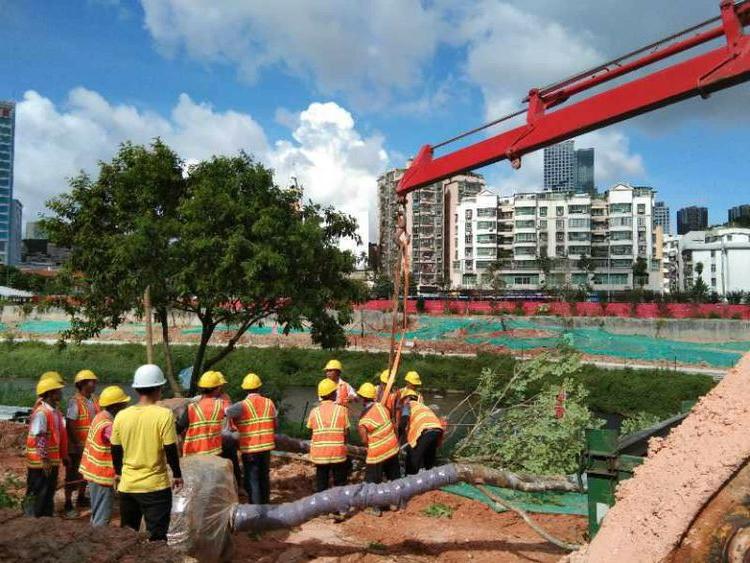 园林菲律宾网赌合法平台施工现场